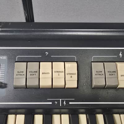 Roland RS-101 61-Key String Synthesizer 1975 - 1976 - Black image 3