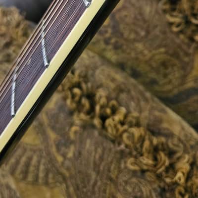 ESP LTD TL-12 Thinline Acoustic-Electric Guitar, 12-String image 6
