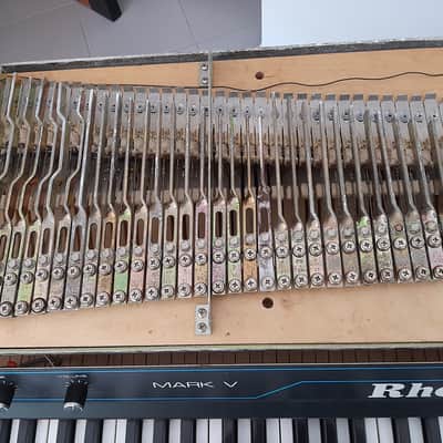 Fender Rhodes 73 image 7