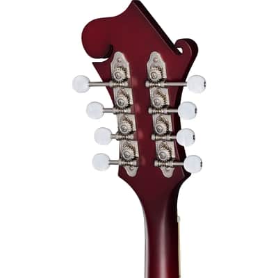 Epiphone F-5 Studio 8-String Mandolin - Wine Red Satin image 6
