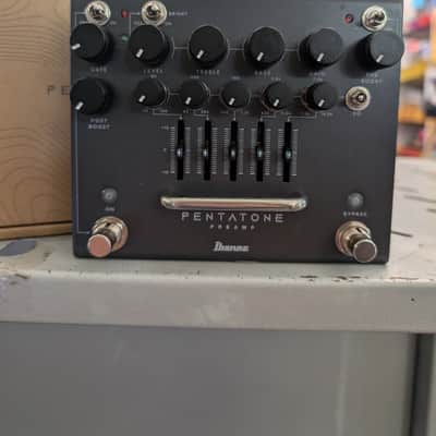 Ibanez PTPRE image 2