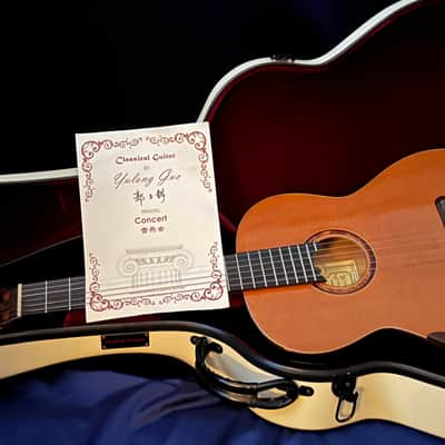 Yulong Guo Ziricote Concert 2016 #14 image 5