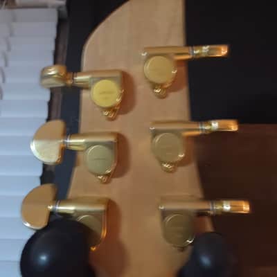 Fernandes APG-85S USA Custom, Sustainer, MIJ image 5