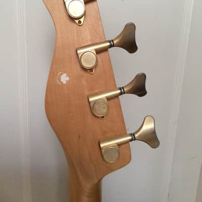 Godin L.R. Baggs Model Fretless Acoustibass Early 1990's Natural Price Drop 2! image 7