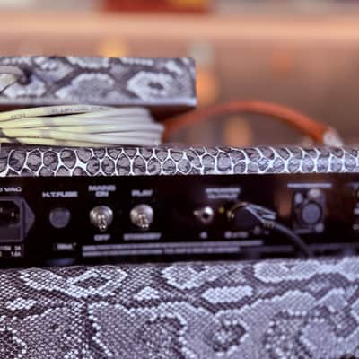 SL Amplification New Drive Reverb 50 Watts Combo 1x12” Custom Order (Tube Buffered fx loop) - Snake Skin Custom Tolex image 15