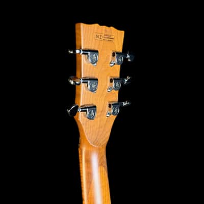 Harley Benton Aeolus Semi Hollow Electric Guitar in Frost Flame image 7