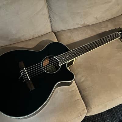 IBANEZ AEG10 (AEG10E, AEG10II) acoustic guitars