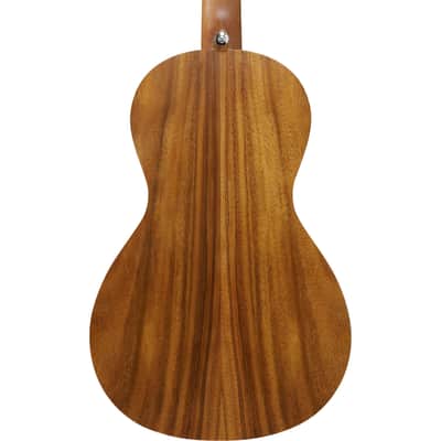 Ibanez PN2WS PN Acoustic Guitar - Open Pore Brown image 9