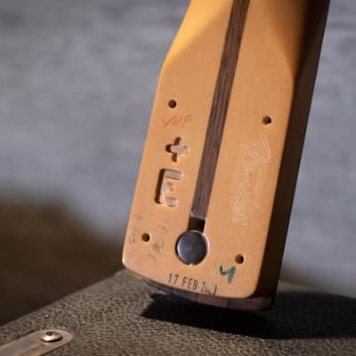 Fender Player Plus Stratocaster Neck, 12" Radius, 22 Med Jumbo Frets, Pau Ferro Fingerboard - Floor Model image 5