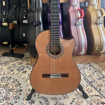 Juan Montes Rodríguez Flamenco 1ª Negra Exclusive Cutaway + LR Baggs Installed 2025 image 1