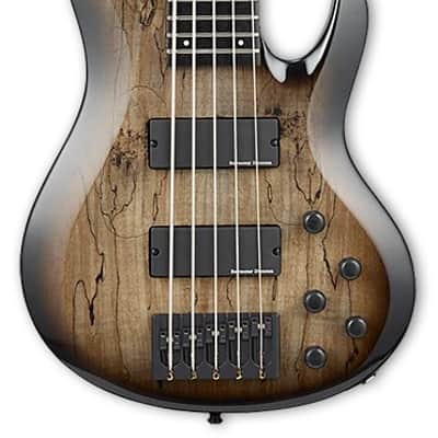 0*0様 ESP BTL LISA ケース　セット BanG Dream！ BTL LISA ベース 初心者12点セット 【Fenderアンプ付