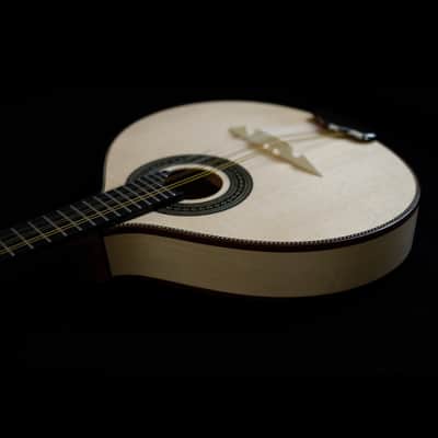 Pedro Santos 8-String Mandolin | Brazil 2025 image 5