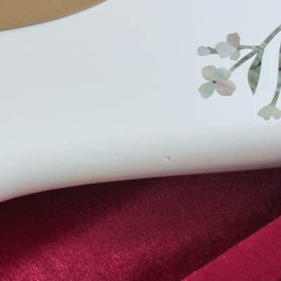 Fender Player Stratocaster - Modded image 13