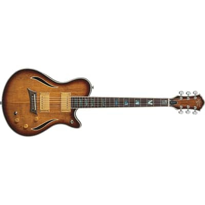 Michael Kelly Hybrid Special, Spalted Maple Burst Top, Chambered Mahogany Body image 7