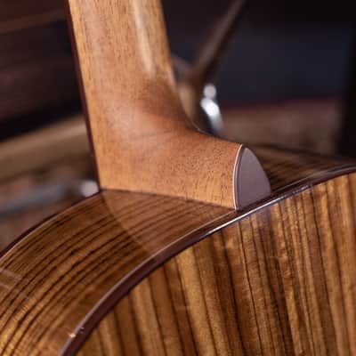 Washburn BTS9CH Bella Tono Novo S9 Studio Shape Spruce Top Okoume Neck 6-String Acoustic Guitar image 8