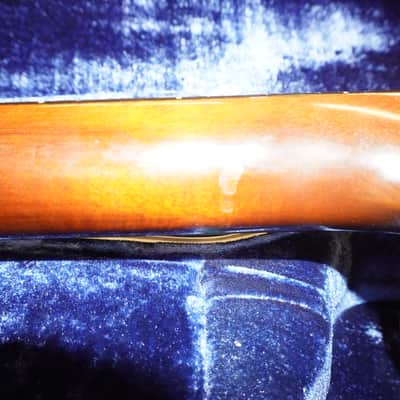 Martin D12-28 1971 image 12