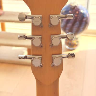 Jerry Jones Baby Sitar - Coral image 6