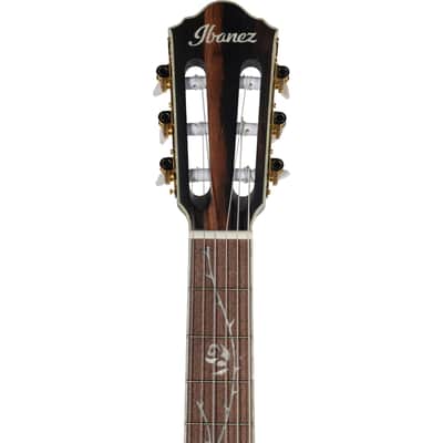 Ibanez TOD10N Left Handed Acoustic Electric Guitar - Transparent Black Flat image 5