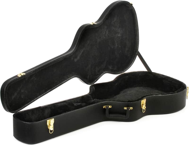 Ibanez AC100C Hardshell Acoustic Guitar Case - AC Series (AC100Cd1) image 1