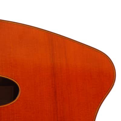 Dieter Hopf 12-string contra guitar 1973 - unique clasical guitar made in Germany - check video! image 4