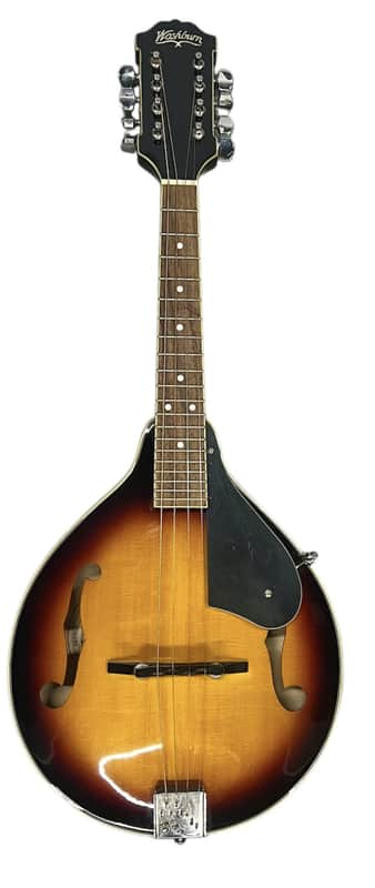 Washburn Mandolin M-1S image 1