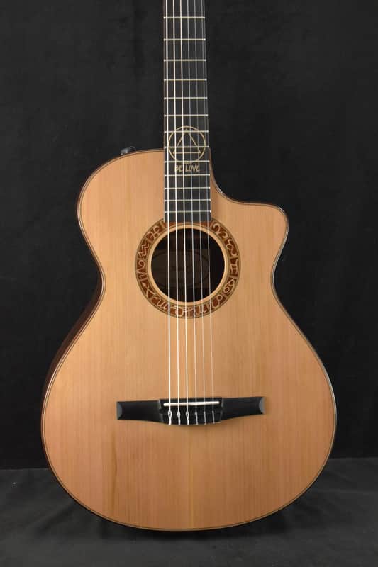 Taylor JMSM Jason Mraz Signature Model image 1