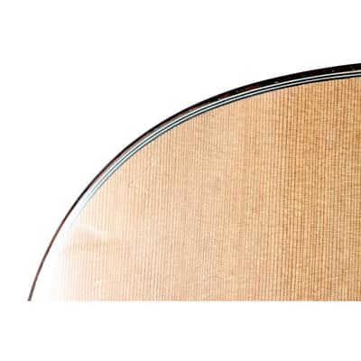 Alhambra Mengual y Margarit Serie NT Classical Guitar Regular image 7