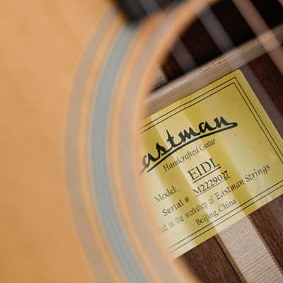 Eastman E1D Dreadnought Lefty image 11