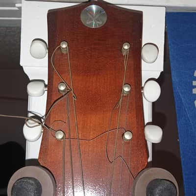 Silverton Sears Acoustic image 3