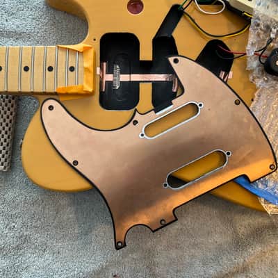 Fender Player Plus Nashville Telecaster 2021 - Butterscotch Blonde image 13