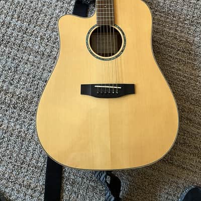 Takamine GS image 1
