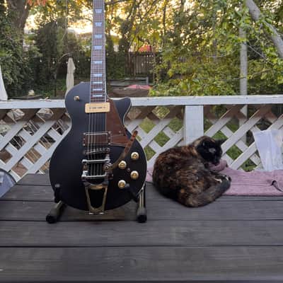 Firefly Neil Young FFSP 2026 upgraded tuners, trem spring image 3