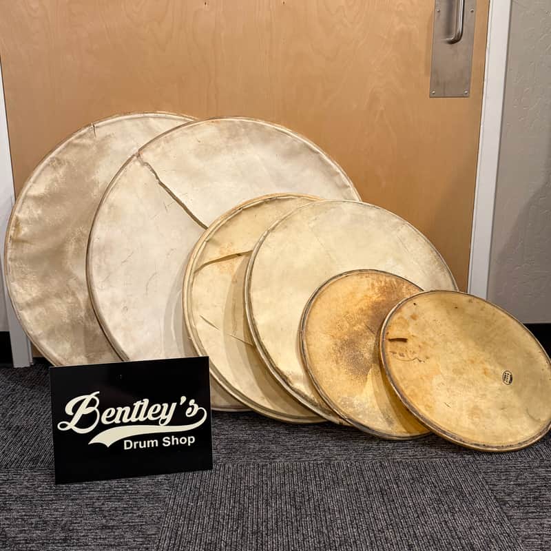 Grouping of Vintage Slingerland Calfskin Heads Pairs of 16", 22", 28" (Rm3) image 1