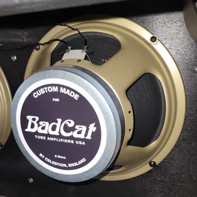 BadCat Era 30 Head and 2x12X 16 Ohm 2x12 Cabinet 2026 Near Mint - Black image 23