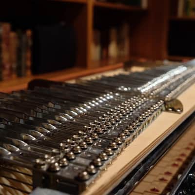 Fender Rhodes Mark I (1973) Custom Restoration | Cedar Case + Chromed Hardware + Fully Voiced image 5