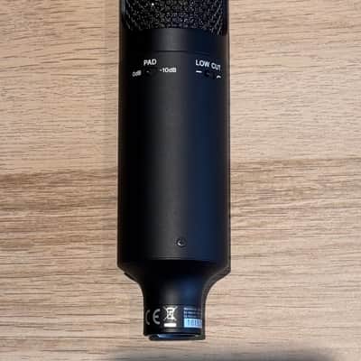 Sony C-100 Hi-Res Dual Capsule Condenser Microphone 2020s - Black image 5