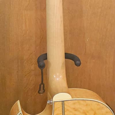 Washburn Festival Series EA20SDL with Chorus Cutaway image 6