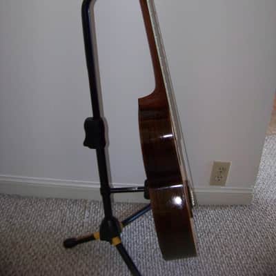 Larson Brothers "Mayflower" 1900 Vintage Parlor Acoustic Guitar image 7