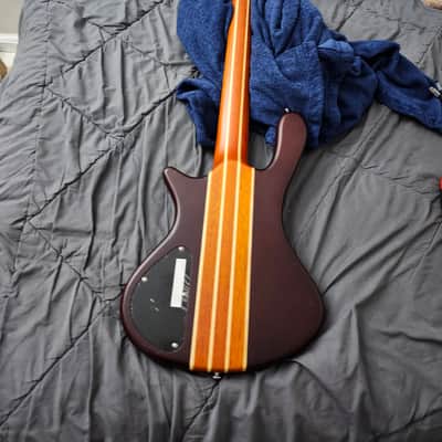 Washburn T25 Taurus 5-String Bass 2010s Darkglass Tone Capsule image 10