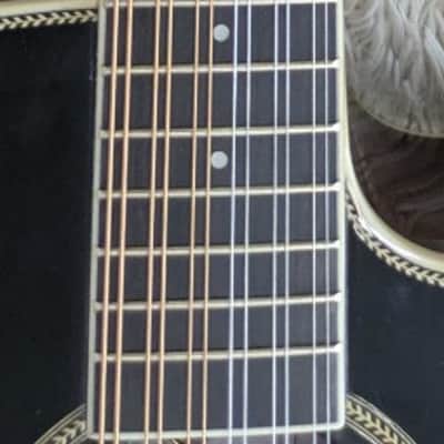 Tagima Sierrena XII EQ BK Acoustic Electric  12 String Guitar, Black Gloss image 5