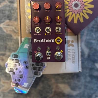 Chase Bliss Audio Brothers AM | Reverb