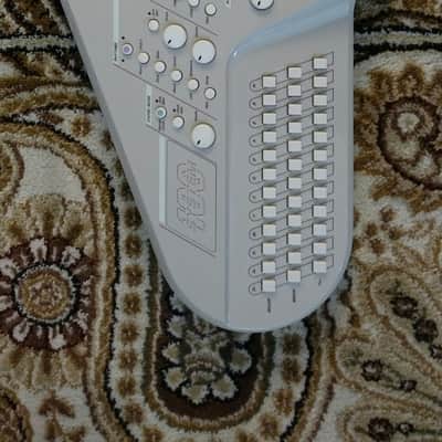 Suzuki Omnichord OM-100 Synthesizer w/ Case image 1