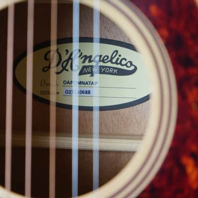 D'Angelico Premier Tammany with Electronics - Natural image 15