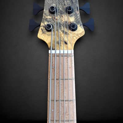 Elrick EVO Gold 6 String Buckeye 2024 - Natural image 5