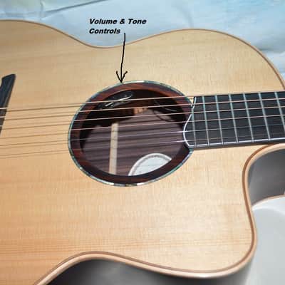Hsienmo F Model, Rosewood- LR Baggs HiFi 2026 - Satin Sheen image 3