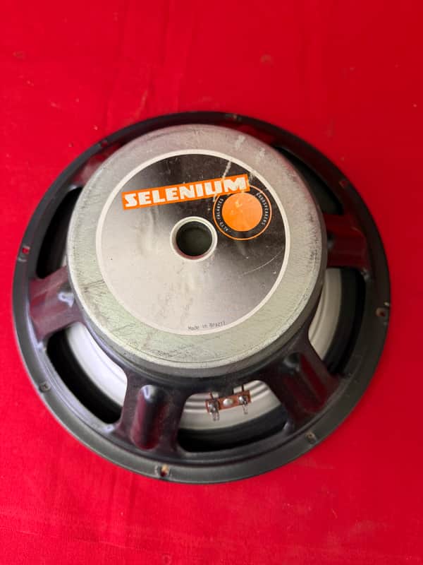 Selenium 12” Speaker 2004 image 1