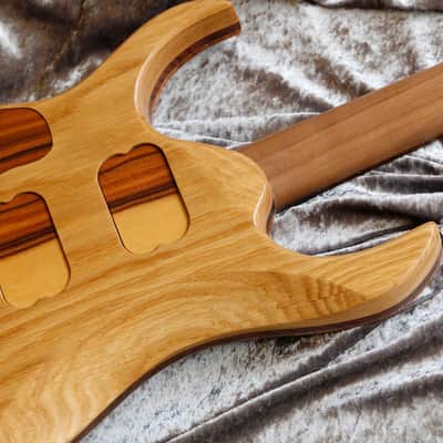 GB Liuteria Boutique guitar Ergal 6 string illuminated resin image 16