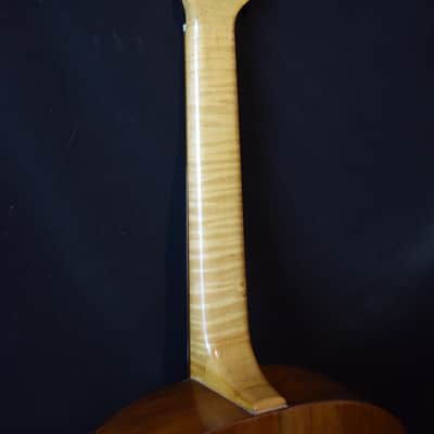 Monzino Hawaiian Square neck guitar 1920 image 5