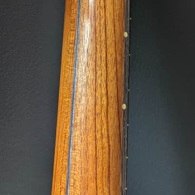 Ray Vincent Shell back guitar 2023 - Shellac and oil image 15