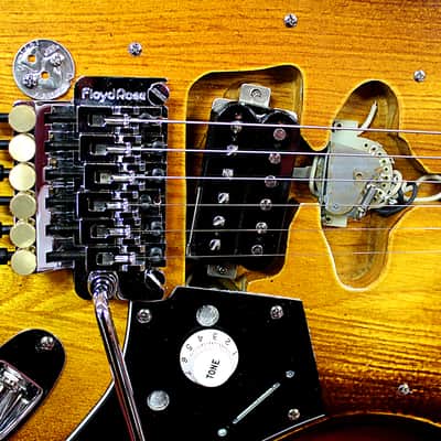 Palermo PG3 Guitar EVH Van Halen Frankenstein Pickup Floyd Rose Tobacco Burst W/ Case NEW image 6